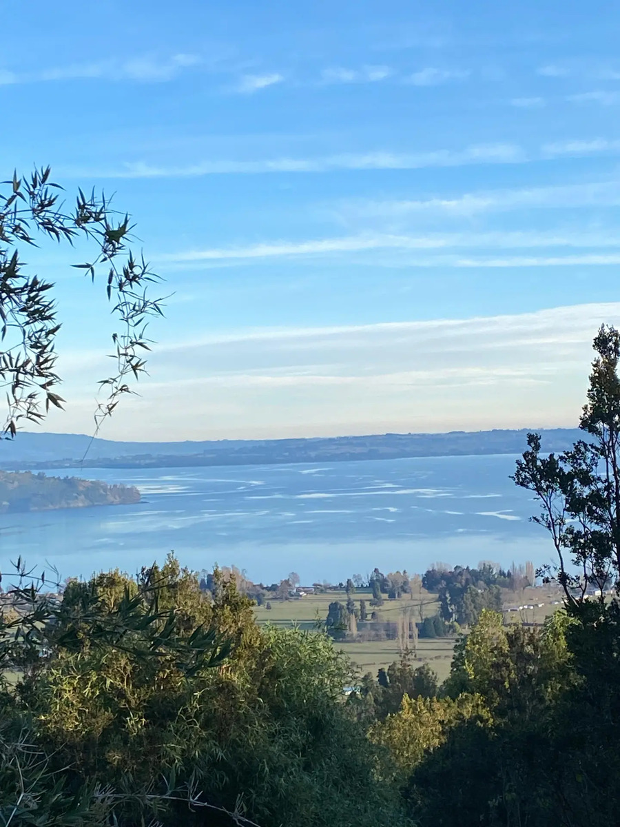 Terreno en Venta - 20 has con vista al Lago - Rio Bueno