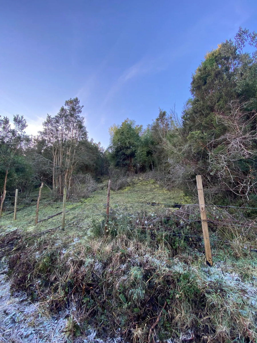 Terreno en Venta - 20 has con vista al Lago - Rio Bueno