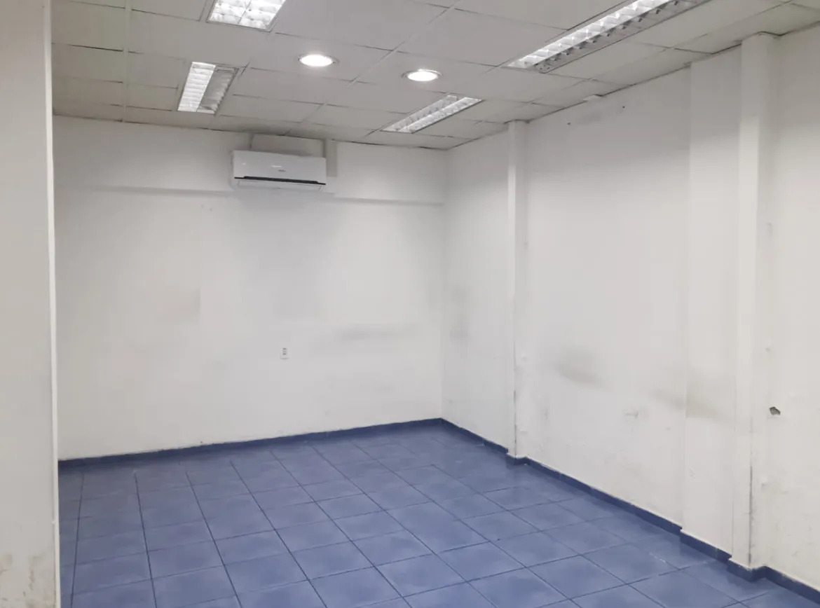 Venta Casa Comercial Barrio Italia Providencia