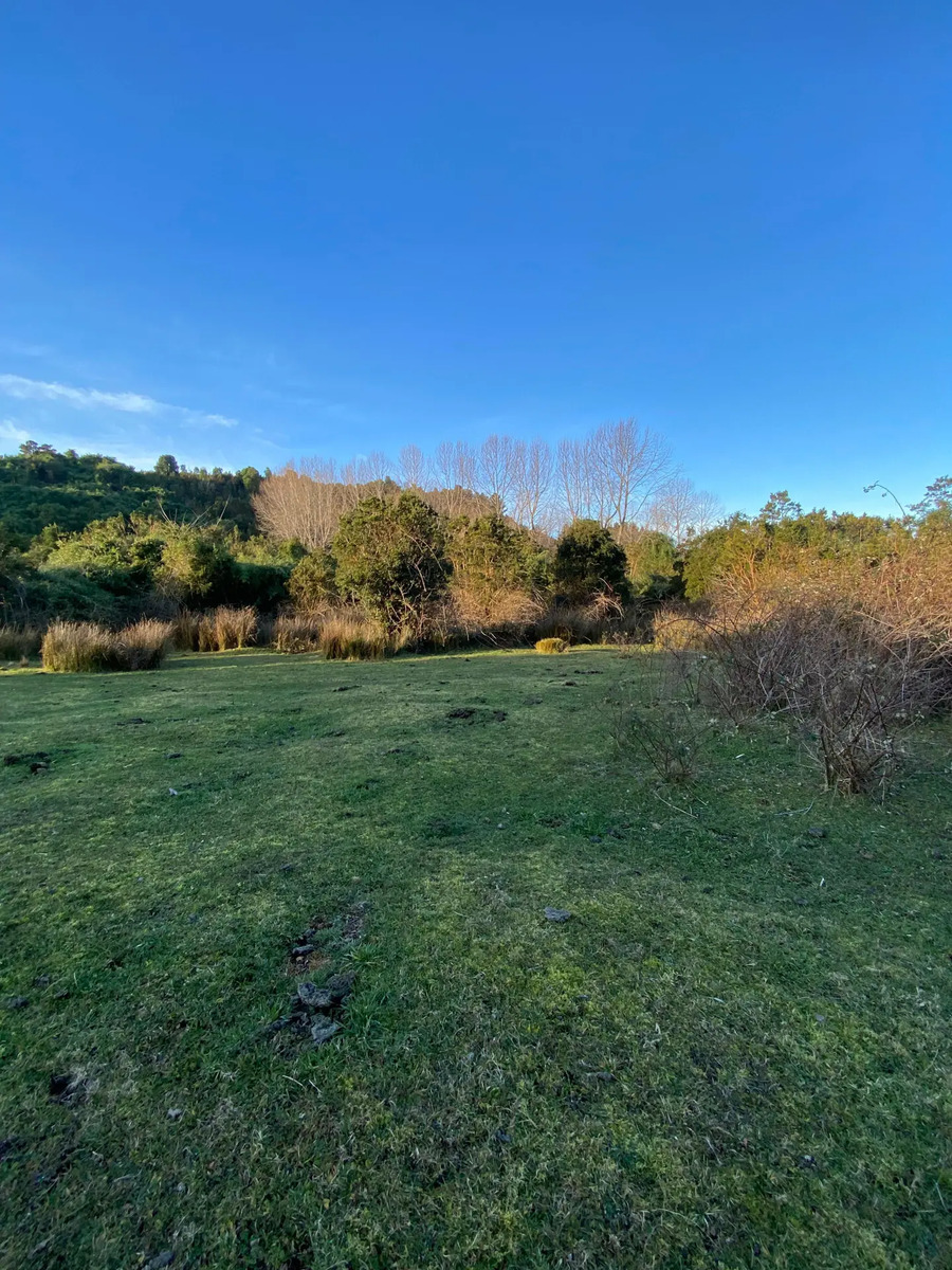 Terreno en Venta - 20 has con vista al Lago - Rio Bueno