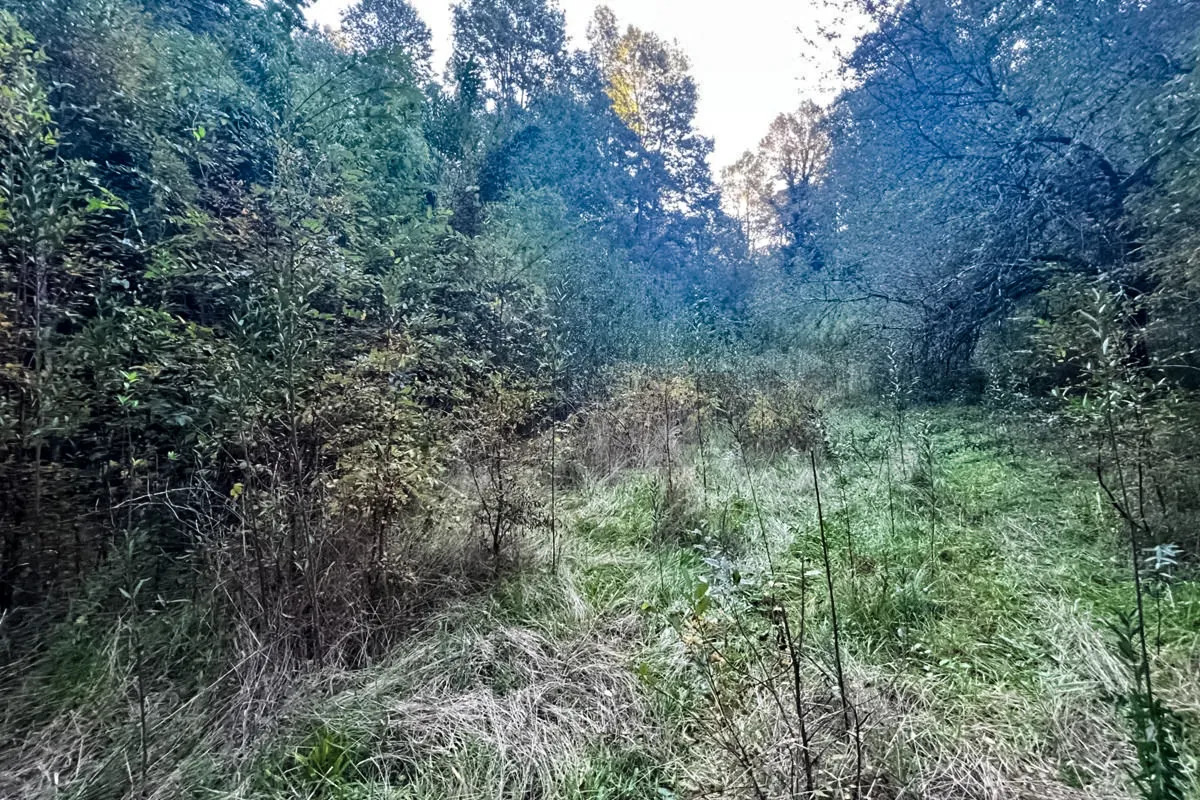 Parcela Terreno 10.540 m&sup2; Quilaco - Puc&oacute;n