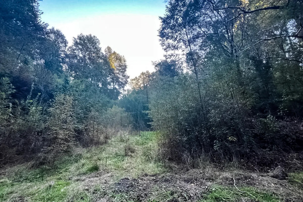 Parcela Terreno 10.540 m&sup2; Quilaco - Puc&oacute;n