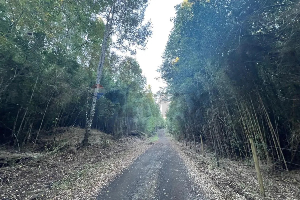 Parcela Terreno 10.540 m&sup2; Quilaco - Puc&oacute;n