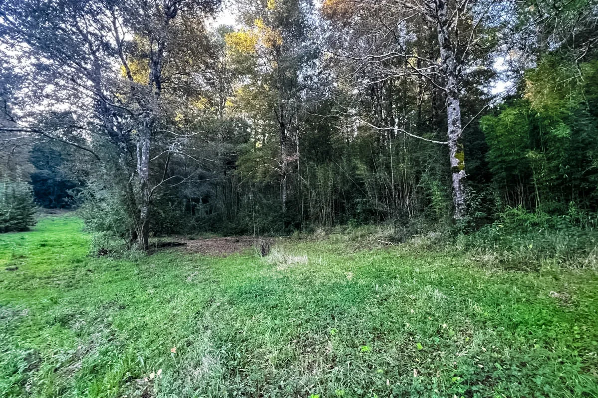 Parcela Terreno 10.540 m&sup2; Quilaco - Puc&oacute;n