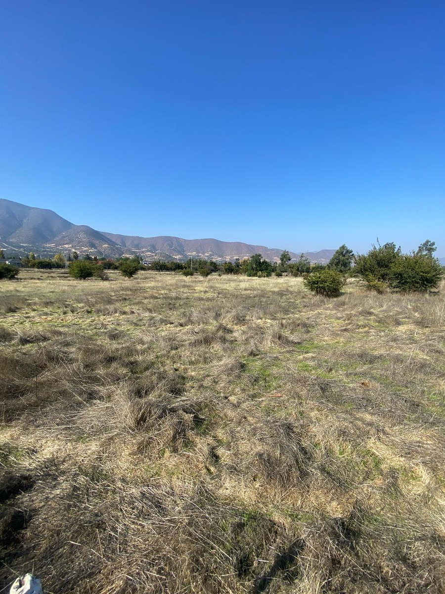 Venta Parcela 2 hectáreas a orilla de camino cercada en Curacaví