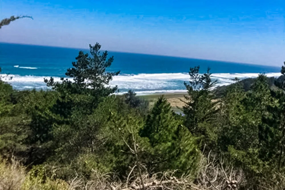 Parcela Terreno 5,000m2 Vista y acceso Playa - Alto Colorado, Pichilemu