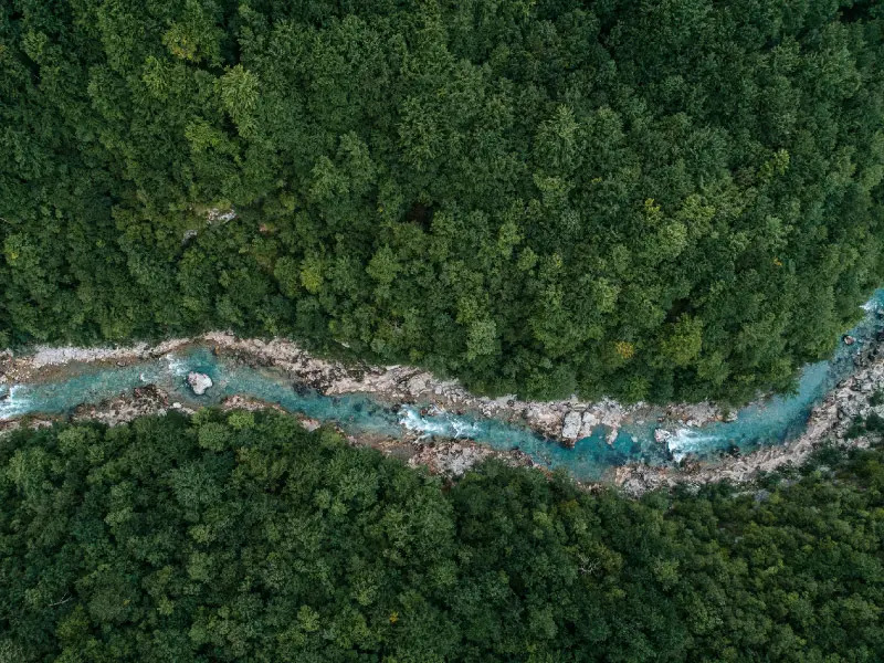 Venta Parcela en Verde 10 hect&aacute;reas Parque Llaima - Legado Sur