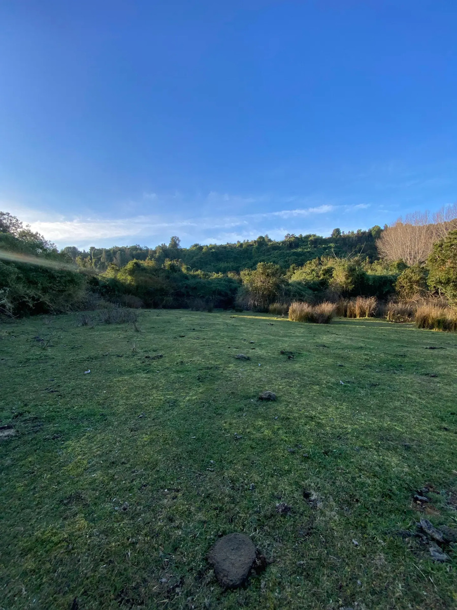 Terreno en Venta - 20 has con vista al Lago - Rio Bueno