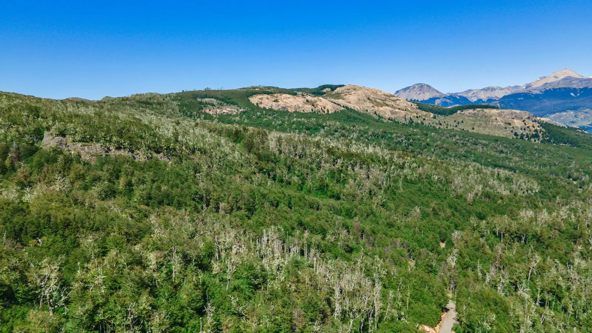 Venta Terreno 90 HECTARIAS - Coyhaique, La Patagonia 