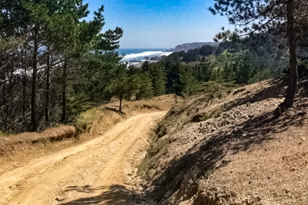 Parcela Terreno 5,000m2 Vista y acceso Playa - Alto Colorado, Pichilemu