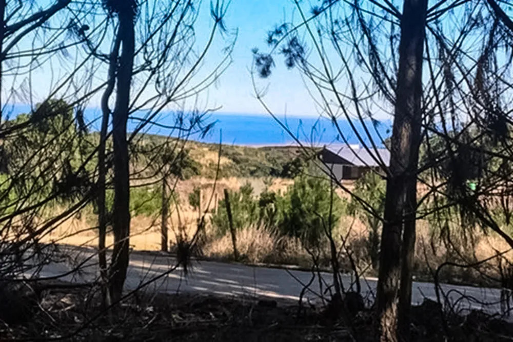 Parcela Terreno 5,000m2 Vista y acceso Playa - Alto Colorado, Pichilemu