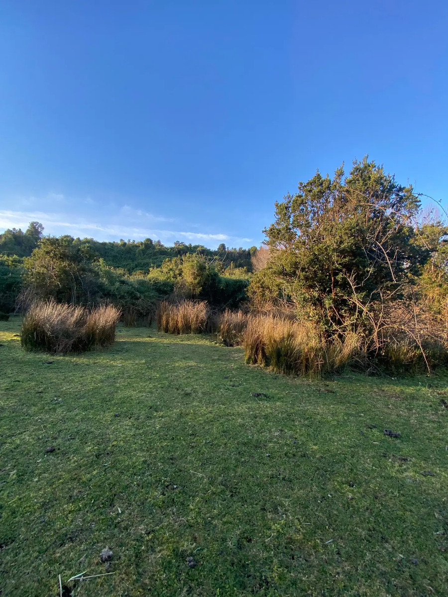 Terreno en Venta - 20 has con vista al Lago - Rio Bueno
