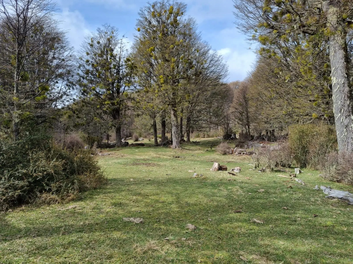 Venta Terreno 90 HECTARIAS - Coyhaique, La Patagonia 