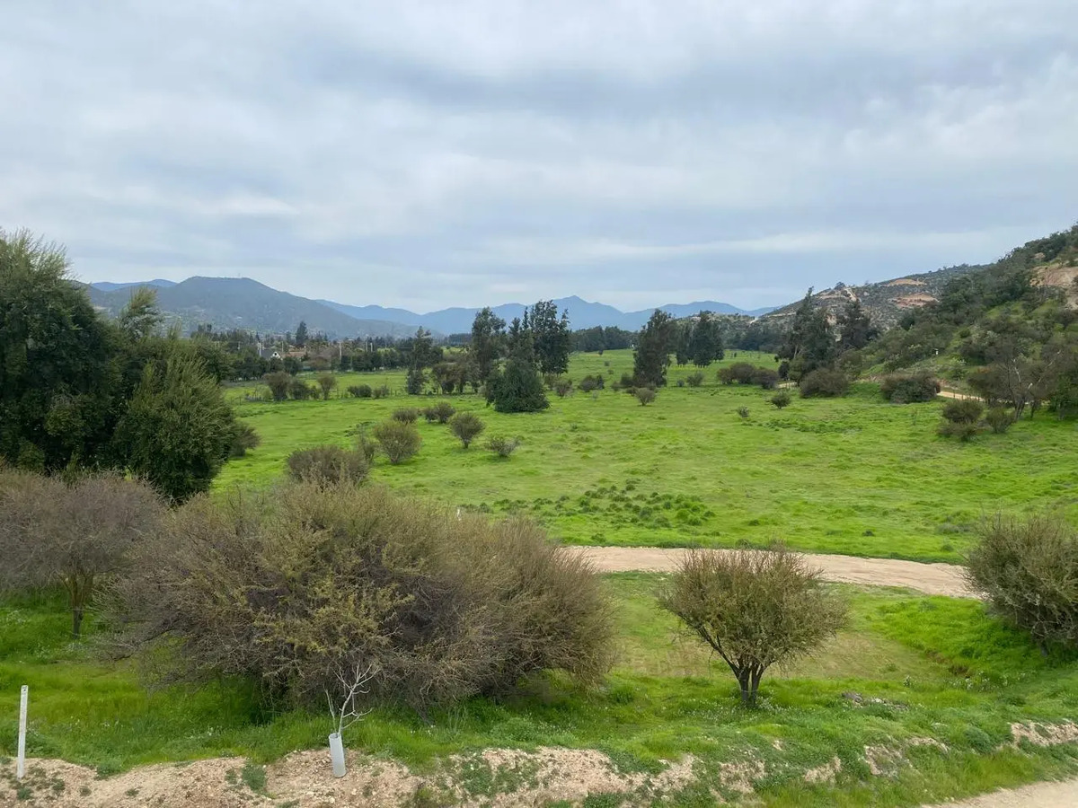 Venta Parcela 2 hect&aacute;reas - Curacav&iacute;