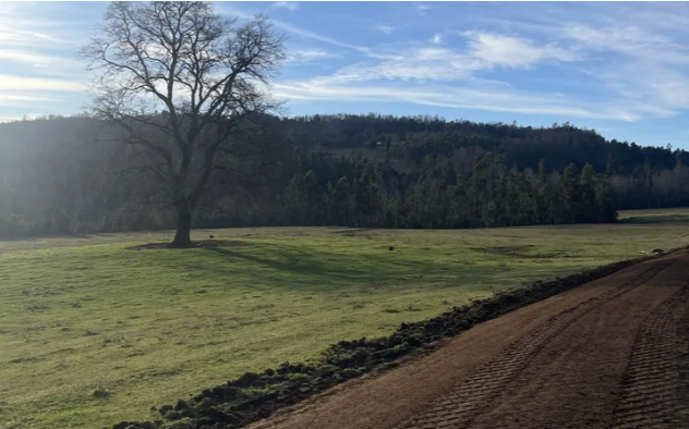 Venta Parcela 1ha Hacienda Huellanto, 25 minutos de Villarrica 