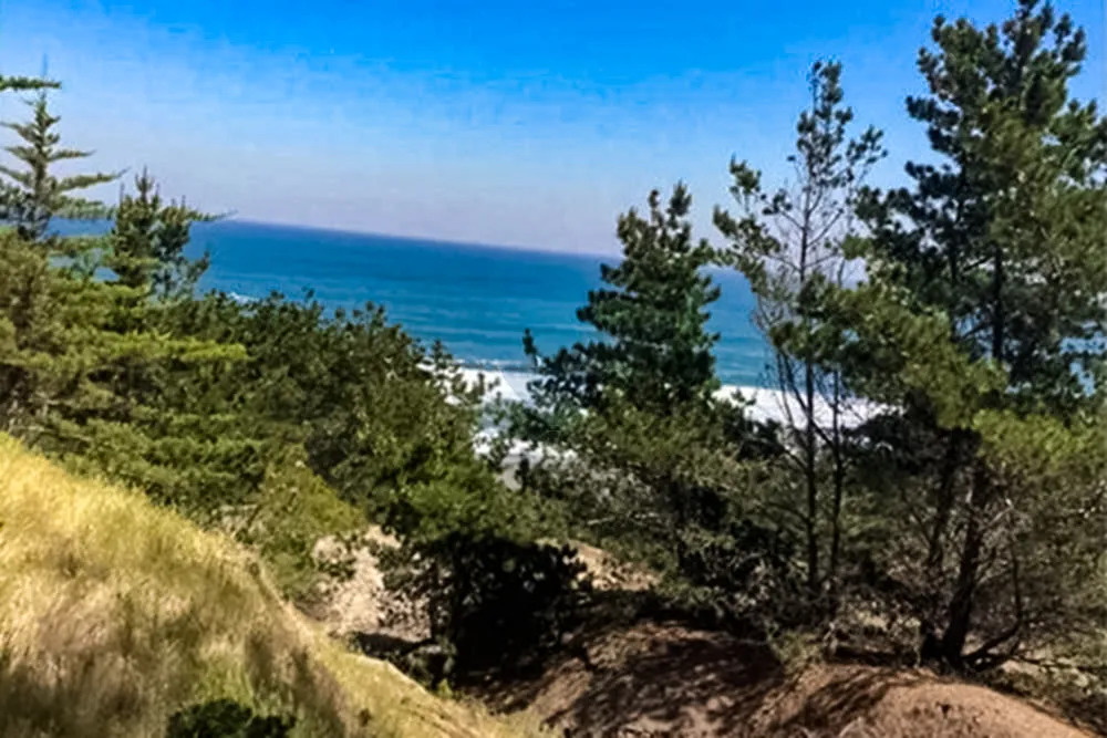 Parcela Terreno 5,000m2 Vista y acceso Playa - Alto Colorado, Pichilemu