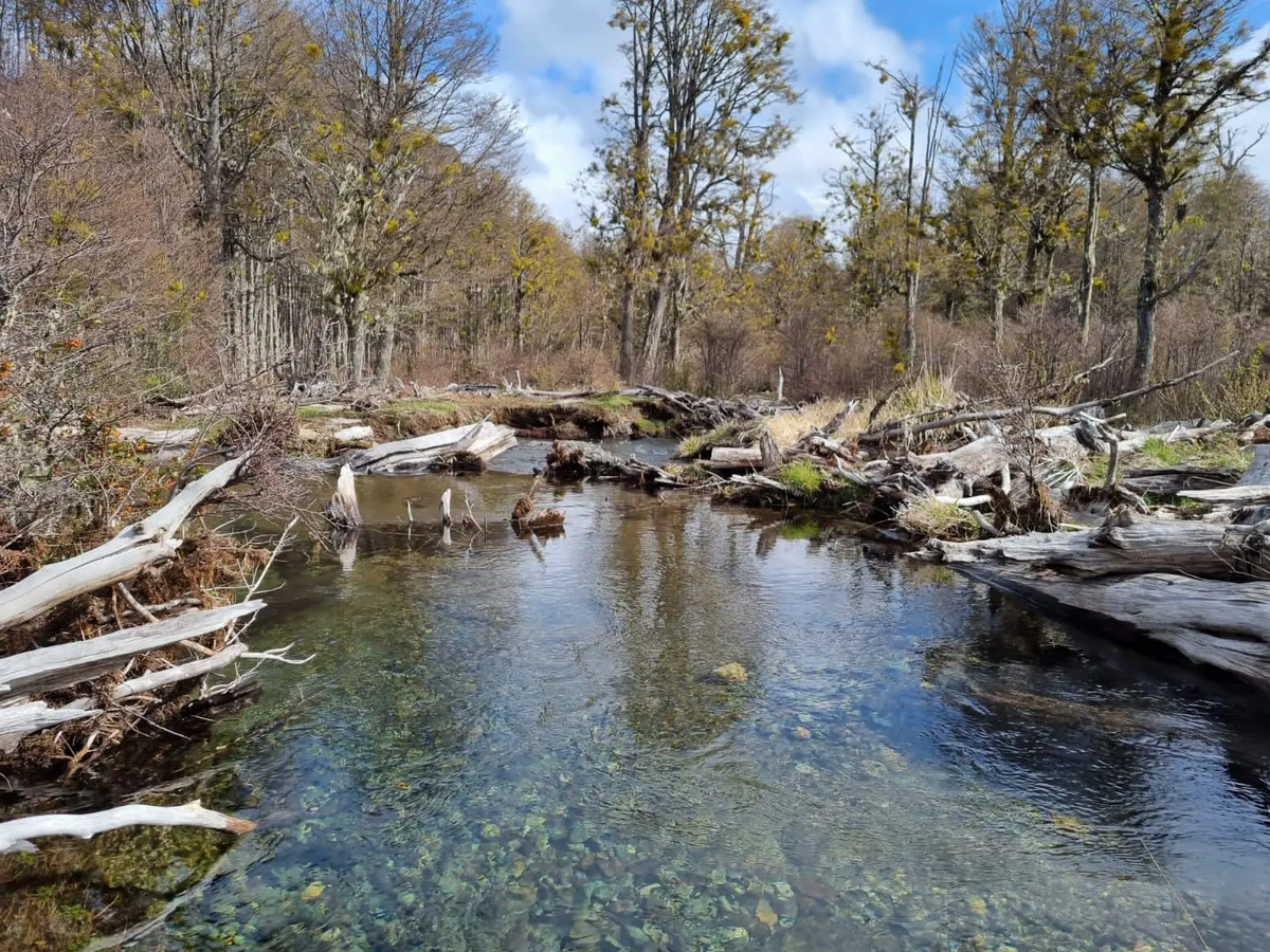 Venta Terreno 90 HECTARIAS - Coyhaique, La Patagonia 
