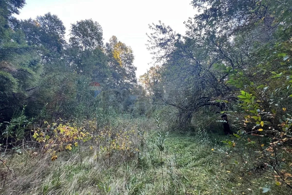 Parcela Terreno 10.540 m&sup2; Quilaco - Puc&oacute;n
