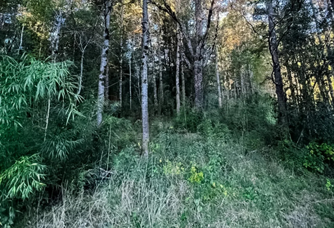 Parcela Terreno 10.540 m&sup2; Quilaco - Puc&oacute;n