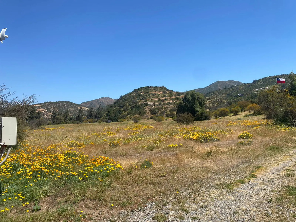 Venta Parcela 2 hect&aacute;reas - Curacav&iacute;