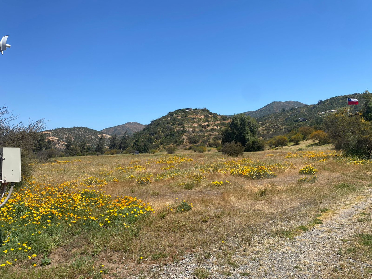 Venta Parcela 2 hectáreas a orilla de camino cercada en Curacaví