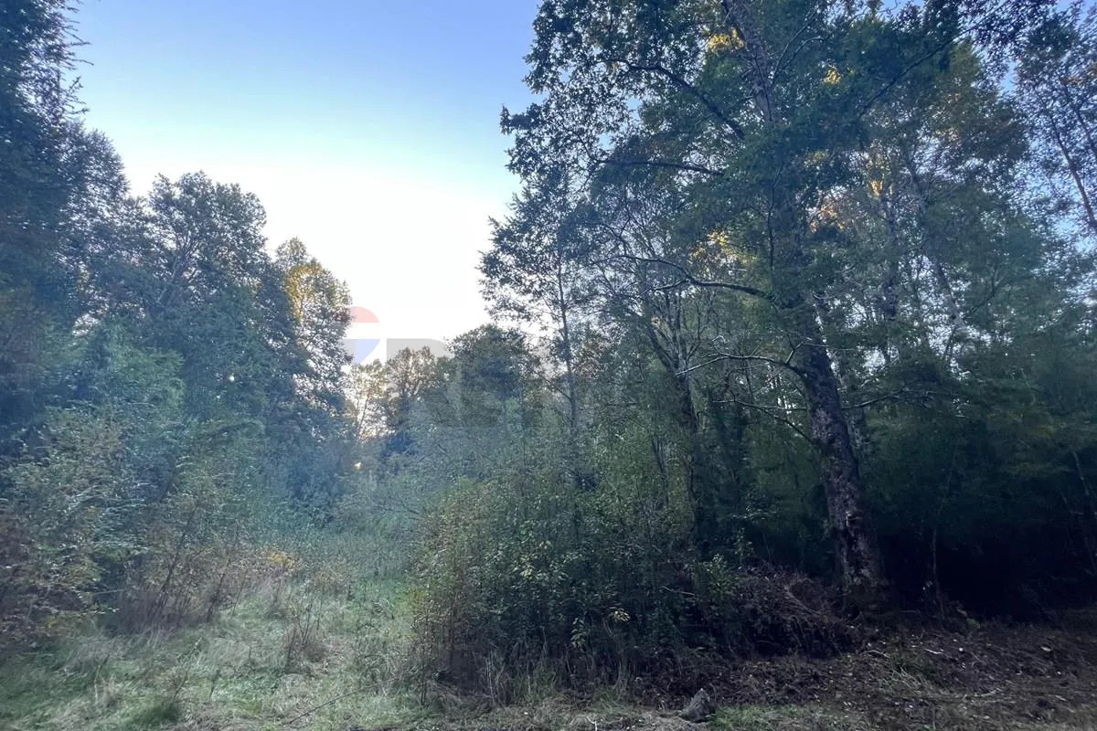 Parcela Terreno 10.540 m&sup2; Quilaco - Puc&oacute;n