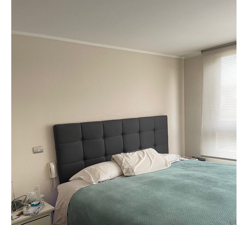 Arriendo Departamento NP 3D en suite Walk-in cl&oacute;set 2B 2E 1B Las Lilas - Providencia