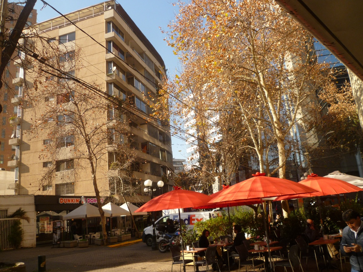 Arriendo Departamento SO 2D 2B 1E Los Leones - Providencia