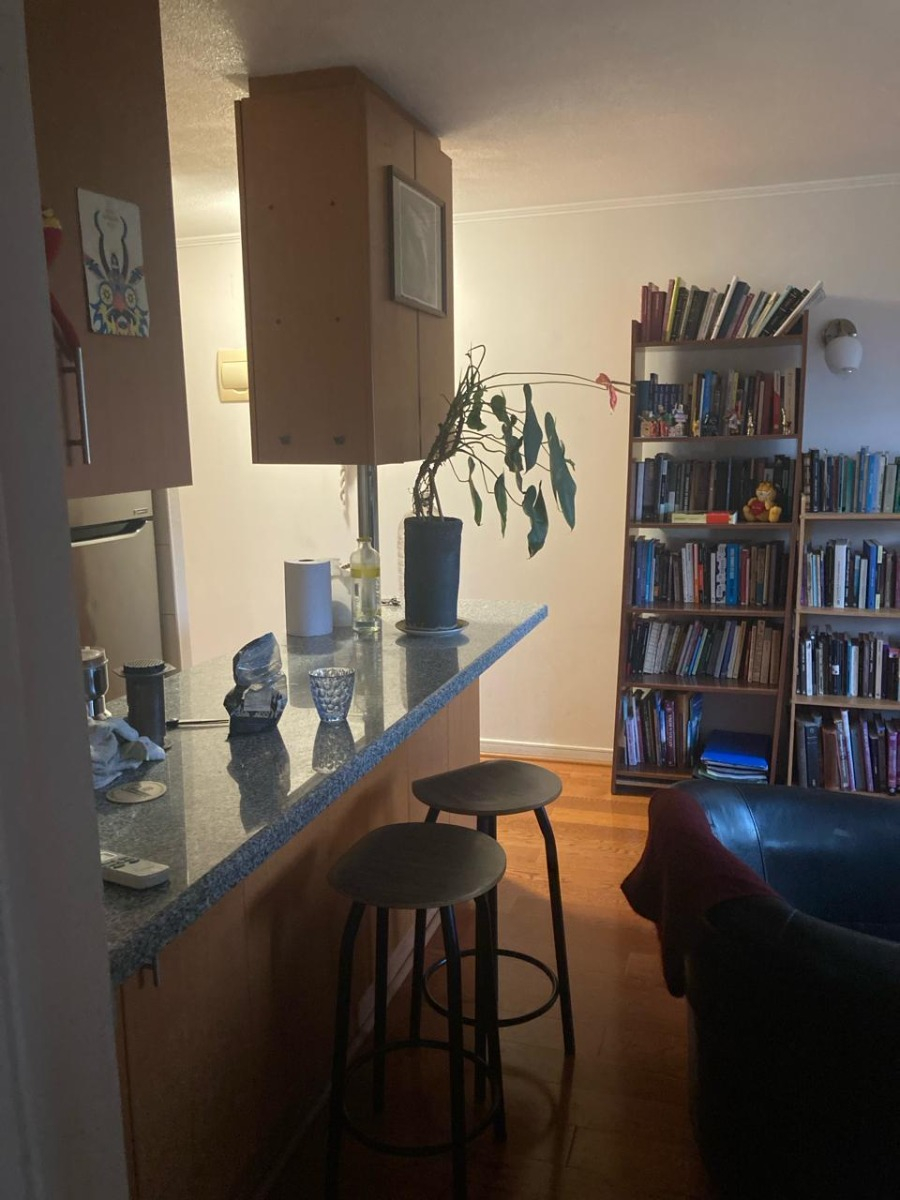 Venta Departamento N 2D en suite Walk-in cl&oacute;set 2B 1E 1B Barrio Italia - Providencia