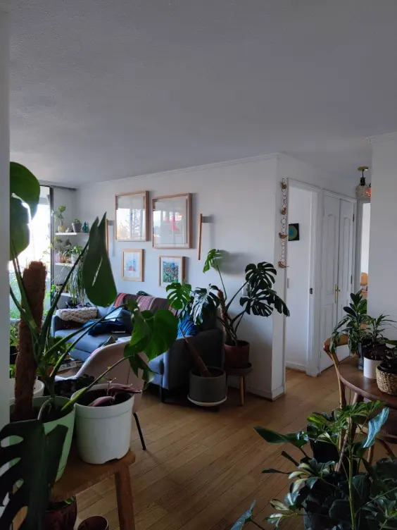 Venta Departamento 2D Barrio Italia - Providencia