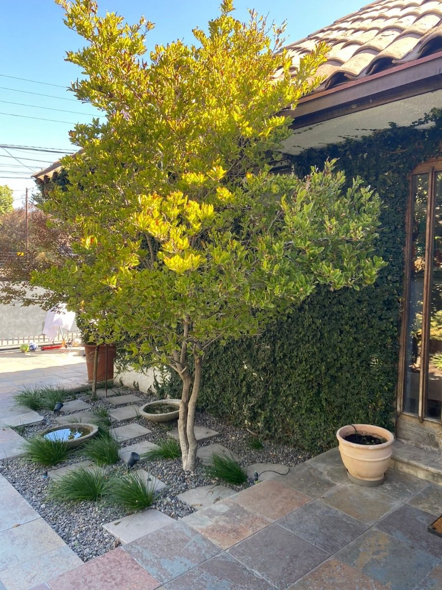 Venta Casa NO 4D en suite 4B 2E 1B La Dehesa - Lo Barnechea