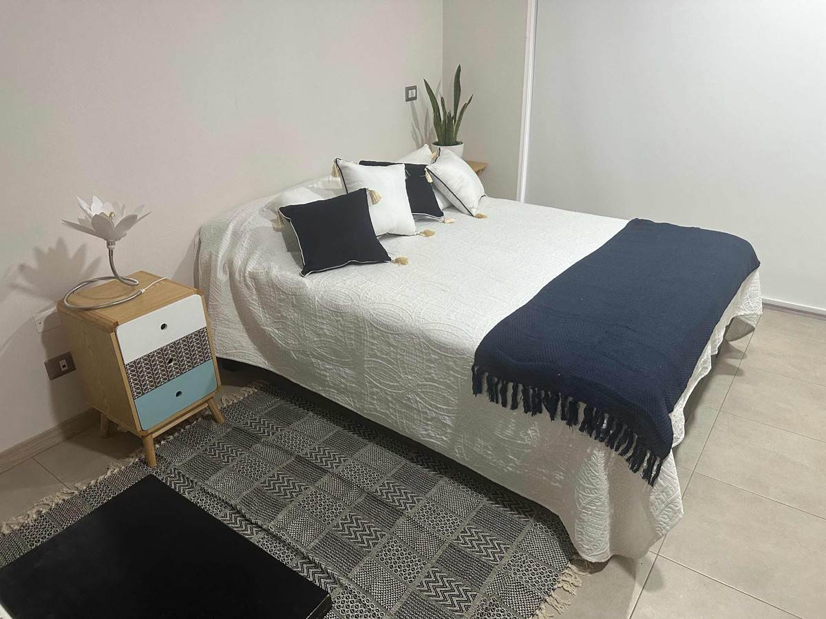 Arriendo Departamento 1D In&eacute;s de Su&aacute;rez - Providencia