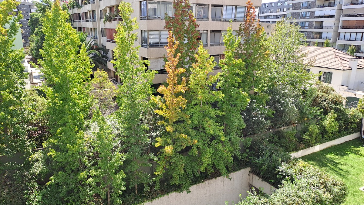 Arriendo Departamento NO 2D 2B 1E 1B In&eacute;s de Su&aacute;rez - Providencia