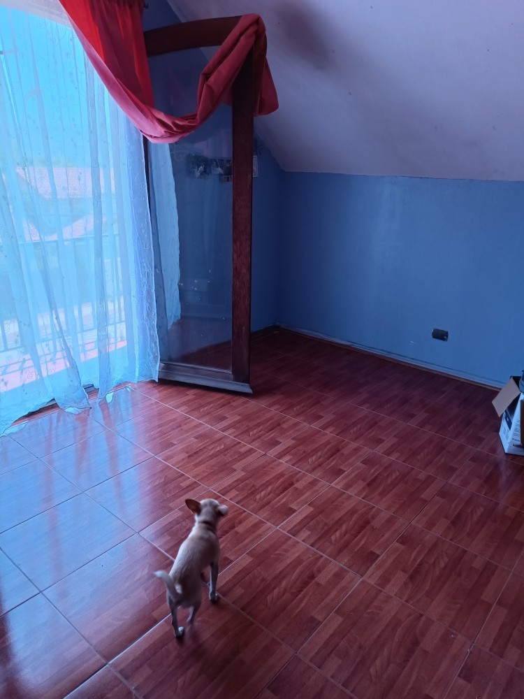 Venta Casa 5D 2B 2E San Carlos de Apoquindo - Las Condes