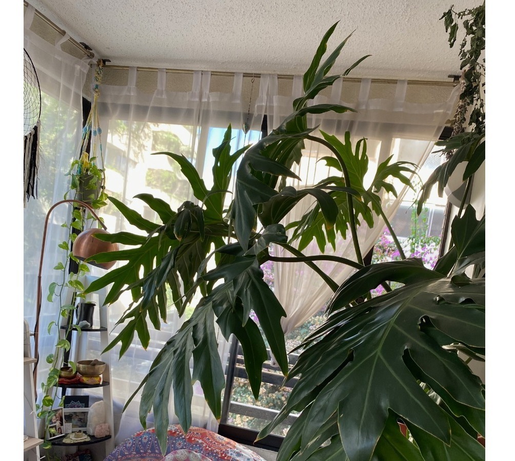 Venta Departamento 3D en suite Walk-in cl&oacute;set 3B 2E 1B Metro Tobalaba - Mall Costanera - Providencia