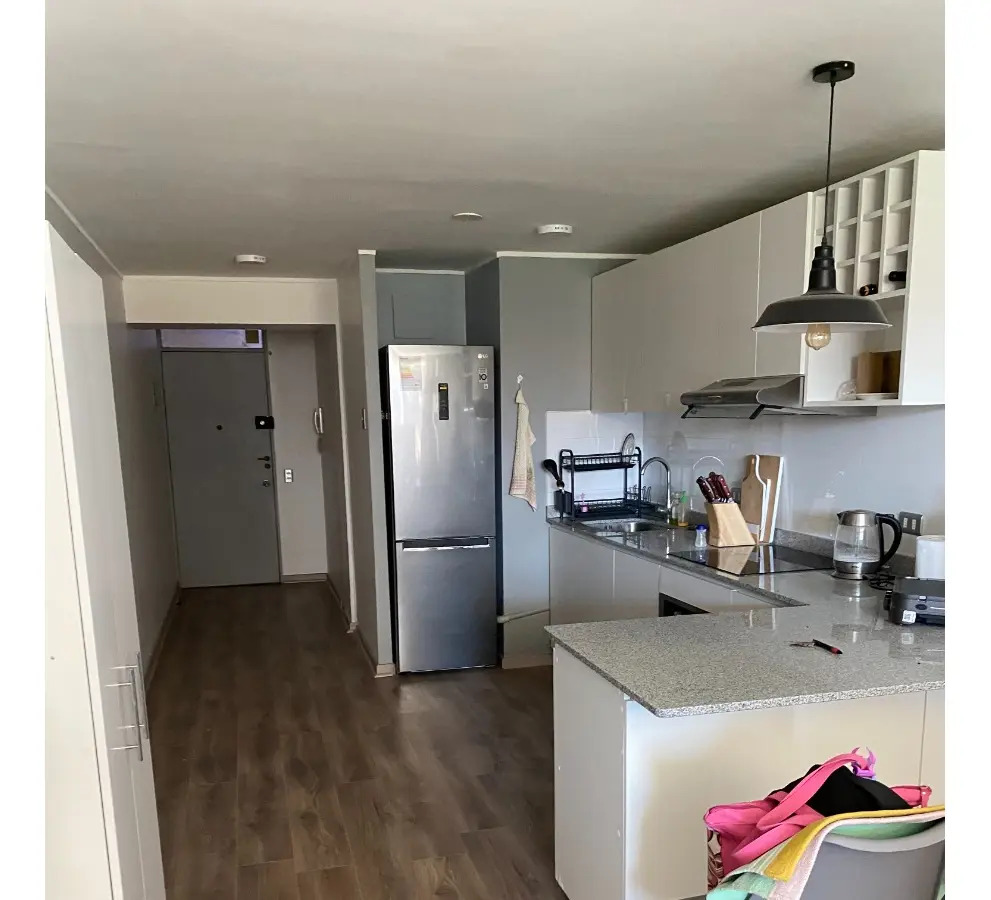 Arriendo Departamento NOSP 2D en suite 1B 1Bd Plaza Italia - Providencia