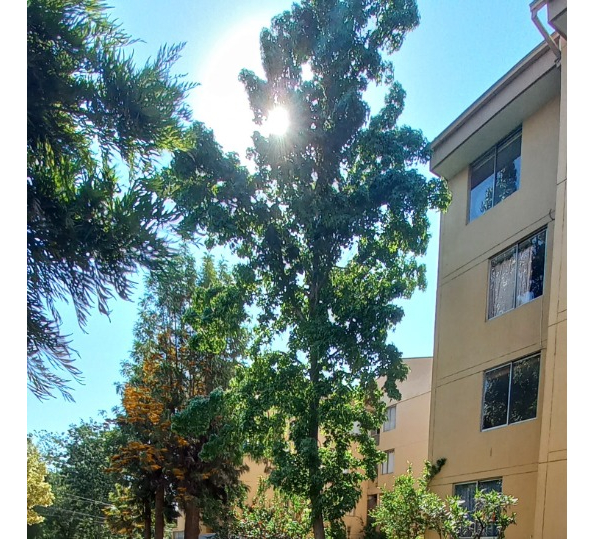 Venta Departamento 3D 2B 1E 1B Carlos Ossand&oacute;n - La Reina