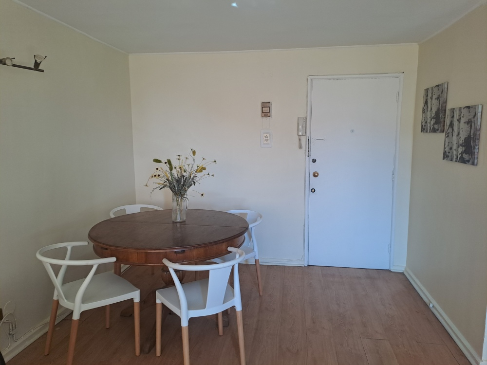 Arriendo Departamento 3D Pedro de Valdivia - Providencia