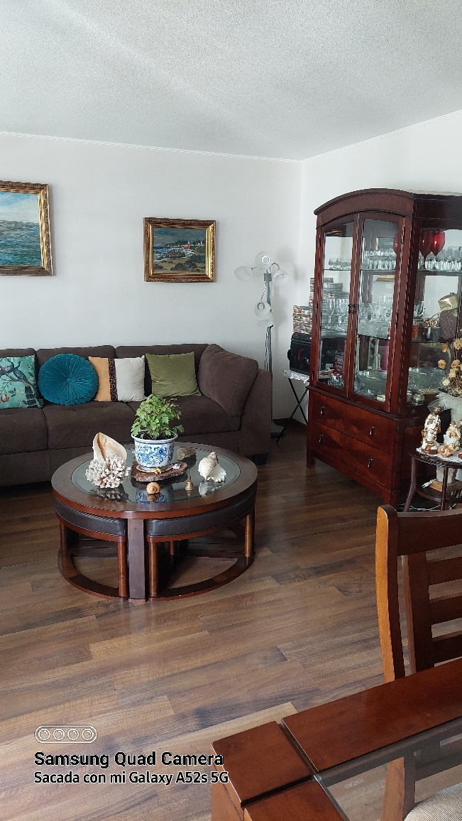 Venta Departamento 3D 3B 1E Blest Gana - La Reina