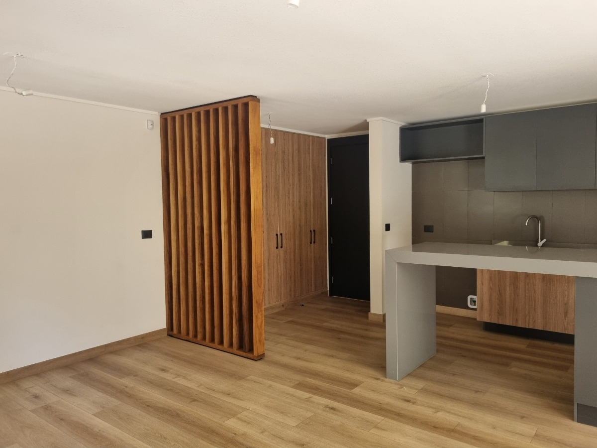 Arriendo Departamento SO 2D 2B 1E 1B In&eacute;s de Su&aacute;rez - Providencia