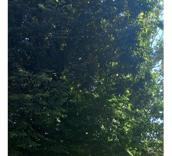 Venta Departamento 3D 2B 1E 1B Carlos Ossand&oacute;n - La Reina