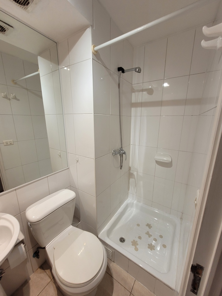 Arriendo Departamento 3D 3B 1E 1B Los Leones - Providencia