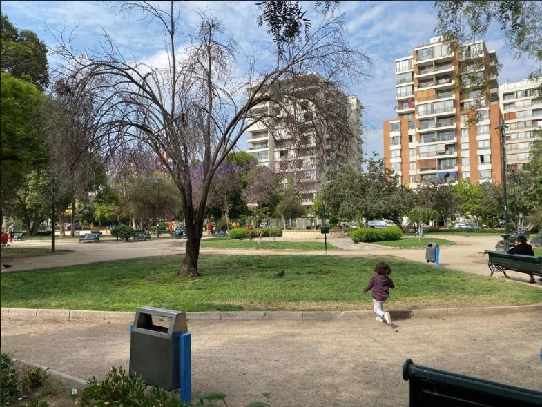Arriendo Departamento O 2D en suite 2B Pedro de Valdivia - Providencia