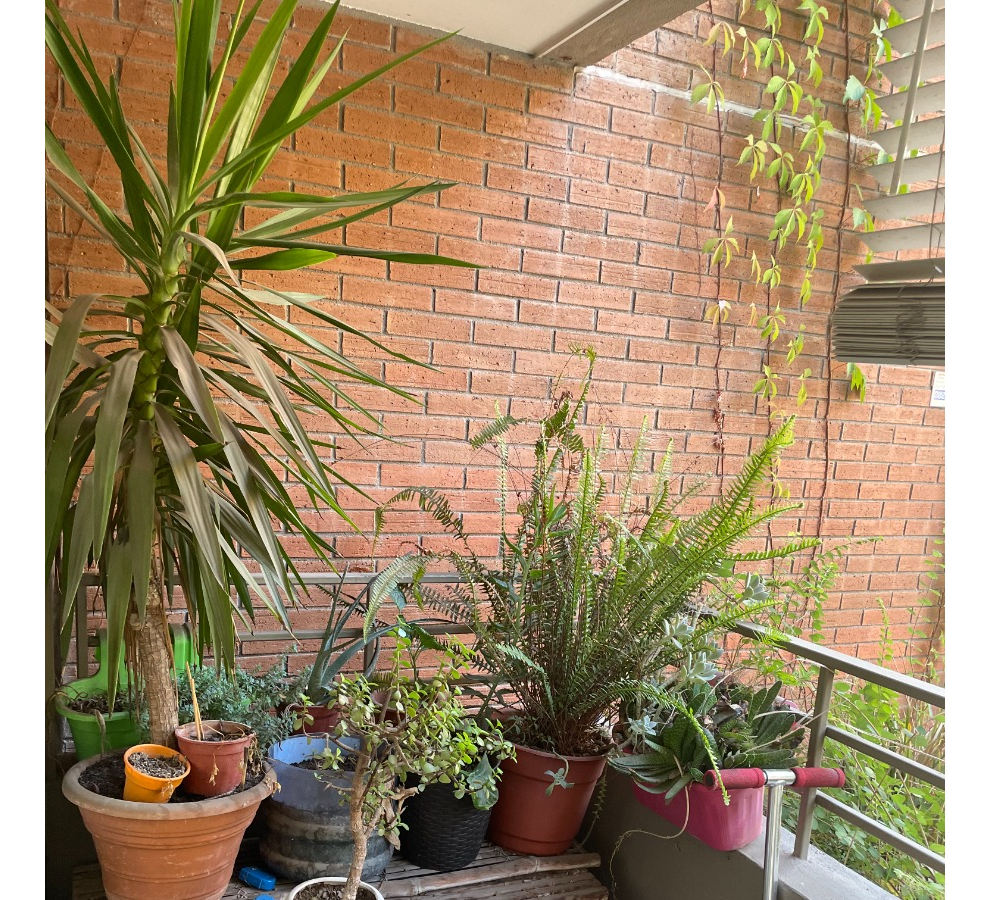 Arriendo Departamento O 2D en suite Walk-in cl&oacute;set 2B 2E 1B  - Lo Barnechea