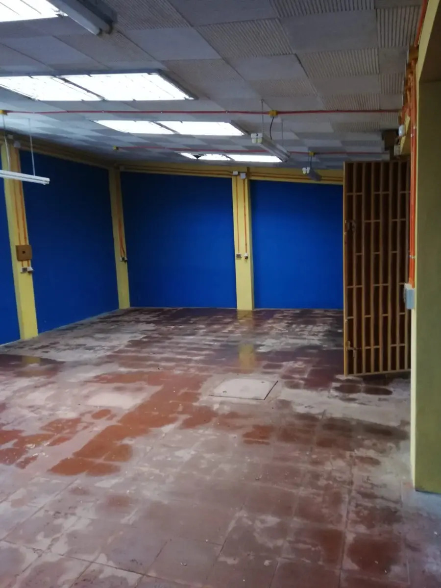 Bodega O Local Industrial Con Trifasica Sector Vivaceta