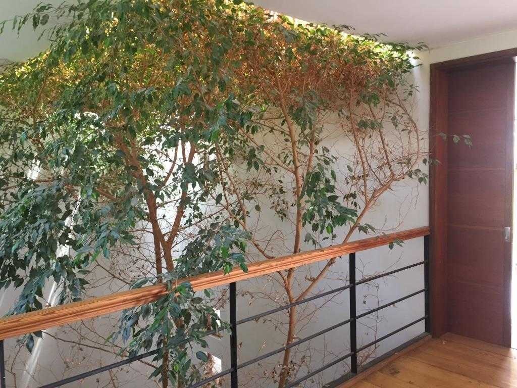 Venta Casa O 4D en suite Walk-in cl&oacute;set 4B 6E 2B Chicureo - Colina