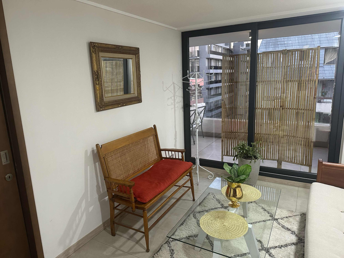 Arriendo Departamento 1D In&eacute;s de Su&aacute;rez - Providencia