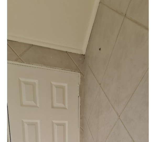 Arriendo Casa N 5D 3B 1E 1B Sebasti&aacute;n Elcano - Las Condes