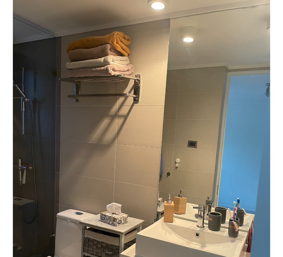 Arriendo Departamento 2D Pedro de Valdivia Norte - Providencia