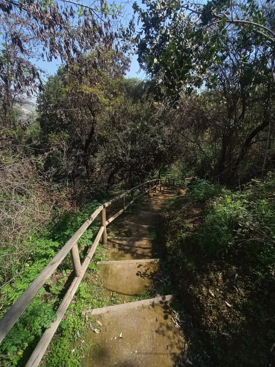 Venta Departamento 3D 3B 1E Las Lilas - Providencia